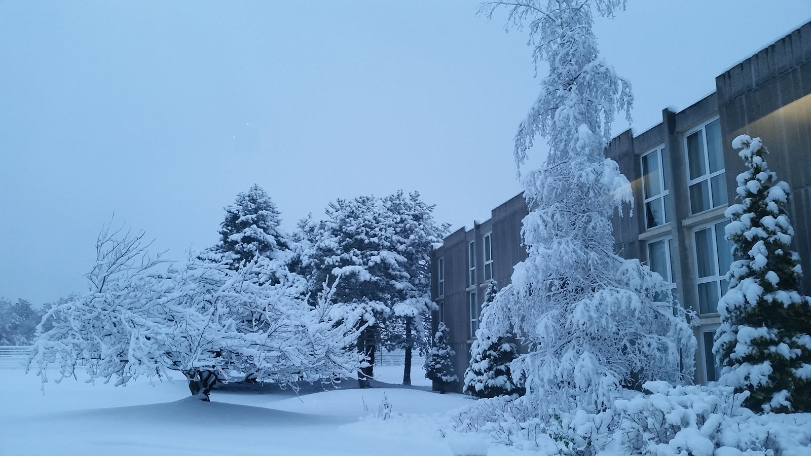 Snowy_Welcome_Lille